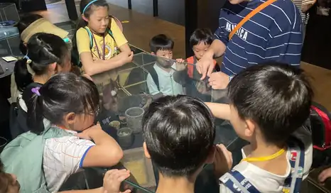 2025 夏令營活動回顧照片 10